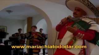 Video thumbnail of "LA MALAGUEÑA - Vicente Fernández Peruano"