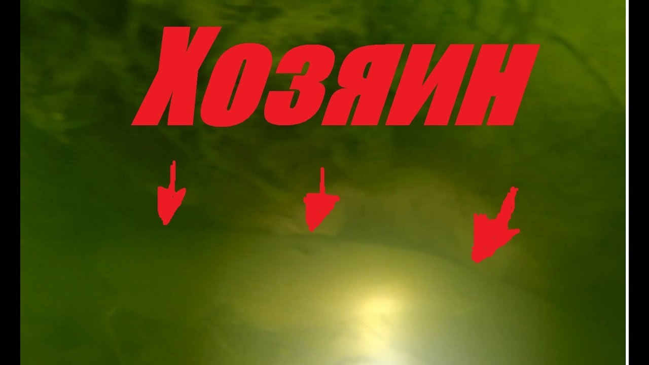 Не думал что найду ЕГО!!!Хозяин омута!Подводная охота на сома2019.