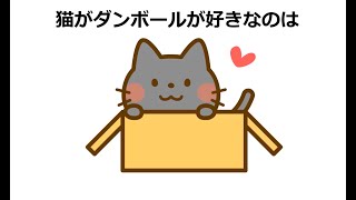 猫がダンボールが好きな理由#雑学 #1分間