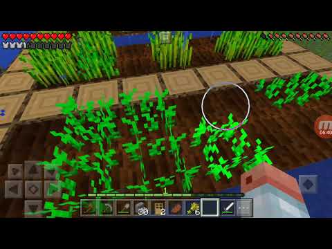 Minecraft ჩემ მეგობარ დადუსთან