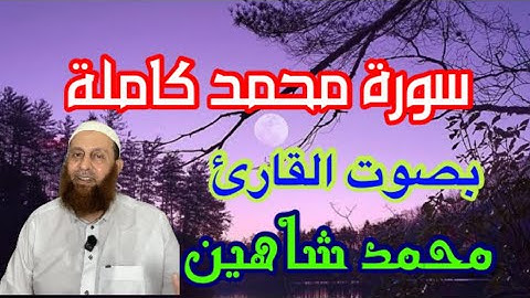 سورة محمد بصوت الشيخ محمد شاهين