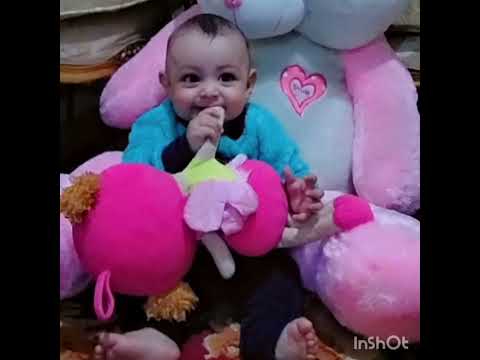 فرقع لوز العسيلي يونس حبيبي اكسبلور تصميمي