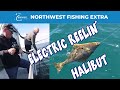 Washington Coast Halibut Fishing with Electric Reels - Marine Area 1 (Ilwaco)