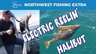 electric halibut fishing reels Daiwa Seaborg SB500J Reel Offering powerful performance in a compact package Fishing - Commercial Fishing -