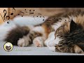 Cat Purring and Harp Music - Anti Anxiety, Stress relief,  Relaxation, Comfortable Sleep