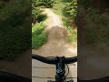 COAST GRAVITY BIKE PARK IS SICK!!