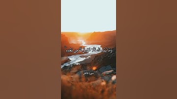مَّا يَفْتَحِ اللَّهُ لِلنَّاسِ مِن رَّحْمَةٍ    سورة فاطر    علي جابر