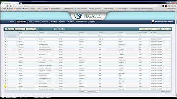 How to do a Bulk Records Update in Pegasus CRM
