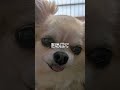 みんなが、