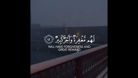 تلاوة قصيرة ( ان الذين يخشون ربهم بالغيب) ماهر المعيقلي | ارح سمعك