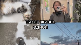 :    |    