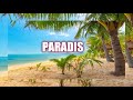 Coupe decale instrumental  spot paradis   prod by dtonzebt