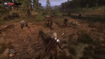 Witcher 3 Enhanced Edition Random Encounter Griffin/Wild Hunt