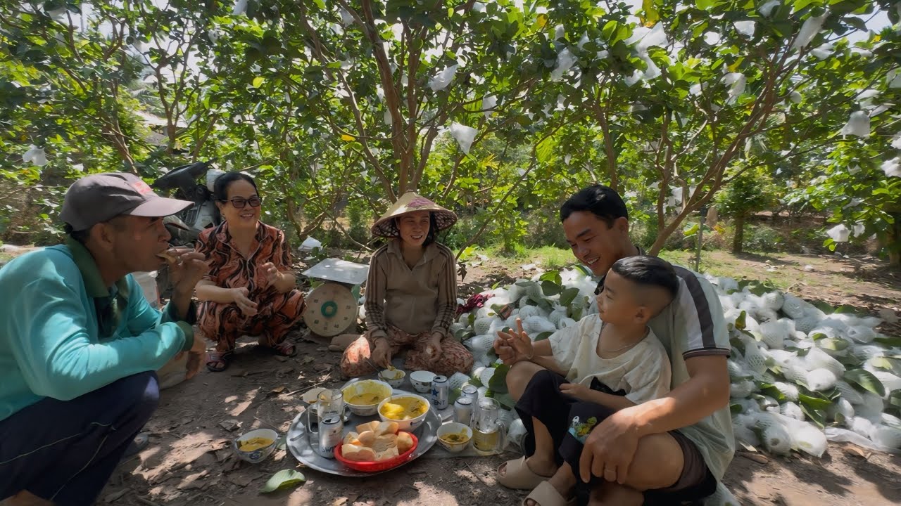 Mùng Ba Khai Xuân Bếp Trưởng Bay Trên Cây Ổi Thu Hoạch Gần Nữa Tấn Ổi | CLN