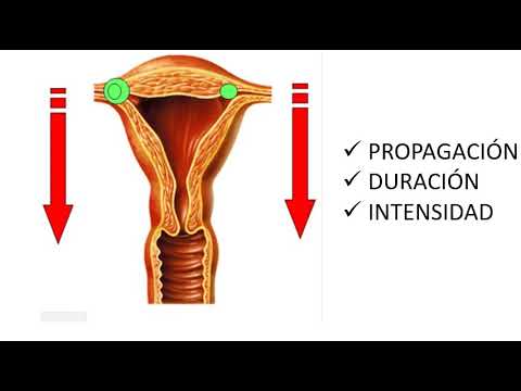 Video: ¿En el segmento uterino inferior?