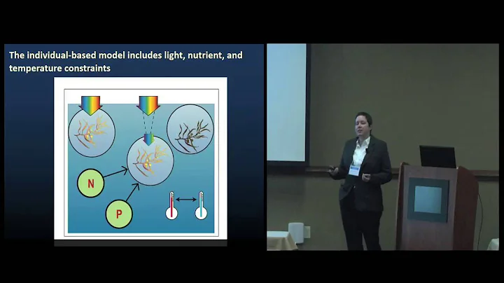 Modeling a Mobile Ecosystem: Eddies and Sargassum ...