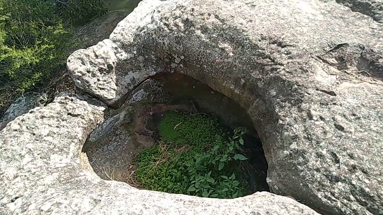 Cowan Creek Yowie Bigfoot Hairyman Junjudee Search Reports Sightings