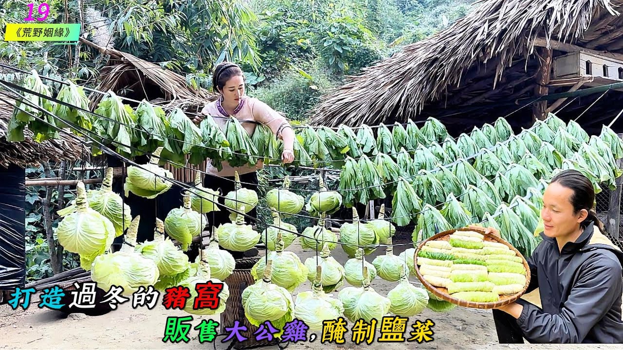 打造過冬的豬窩，販售大公雞，醃鹽菜《荒野姻緣》19