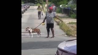 Walking A Dog and A/C