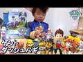 【ケントダッシュバギー】パウパトロールのケントが仲間になったよ！ベーシックビーグル☆