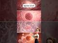 ogenisis in female #neetprep #learnbiology #biology #ncert #education #shorts