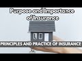 Purpose and Importance of Insurance | Principles and Practice of Insurance | Tamil | Commerce |