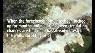 What You Should Know About Foreclosed Home and Mold