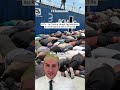 POV : la France réagit fermement au kidnapping de la flottille @valadistaoff