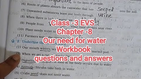 🌊 Class 3 EVS | Chapter 8 Our Need for Water | Workbook Question Answers | Easy Explanation