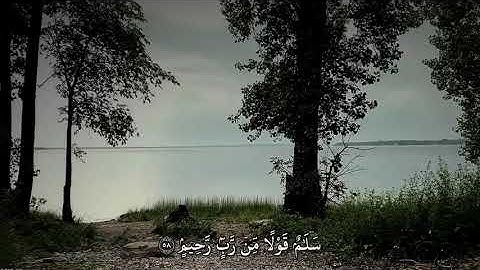 {إِنَّ أَصْحَابَ اَلْجَنَّةِ اَلْيَوْمَ فِي شُغُلٍ فَٰكِهُونَ} سورة يس || ماهر المعيقلي 