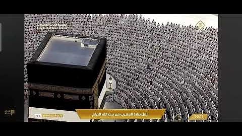 #سورة#البينة#من صلاة#المغرب#من#المسجدالحرام 🕋تلاوة عذبة للشيخ #بندر بليلة حفظه الله 🤲🤲♥️