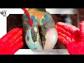 this CRACKED COW&#39;s HOOF was causing pain 24 hrs a day!!!