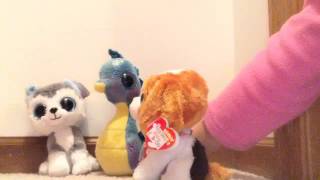 Beanie Boos Veterans Day