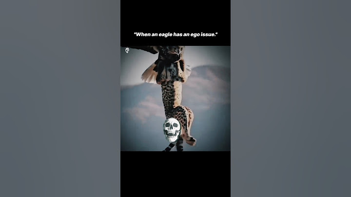 When Eagle has an ego issue 🦅🔥 #trendingshorts #motivational #eagle #ego #shorts #fyp