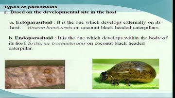 Mod-04 Lec-17 Biological Control - Parasitoids