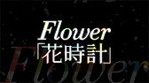 Flower 花時計 2ndアルバム Youtube Flower 花時計 2ndアルバム Youtube
