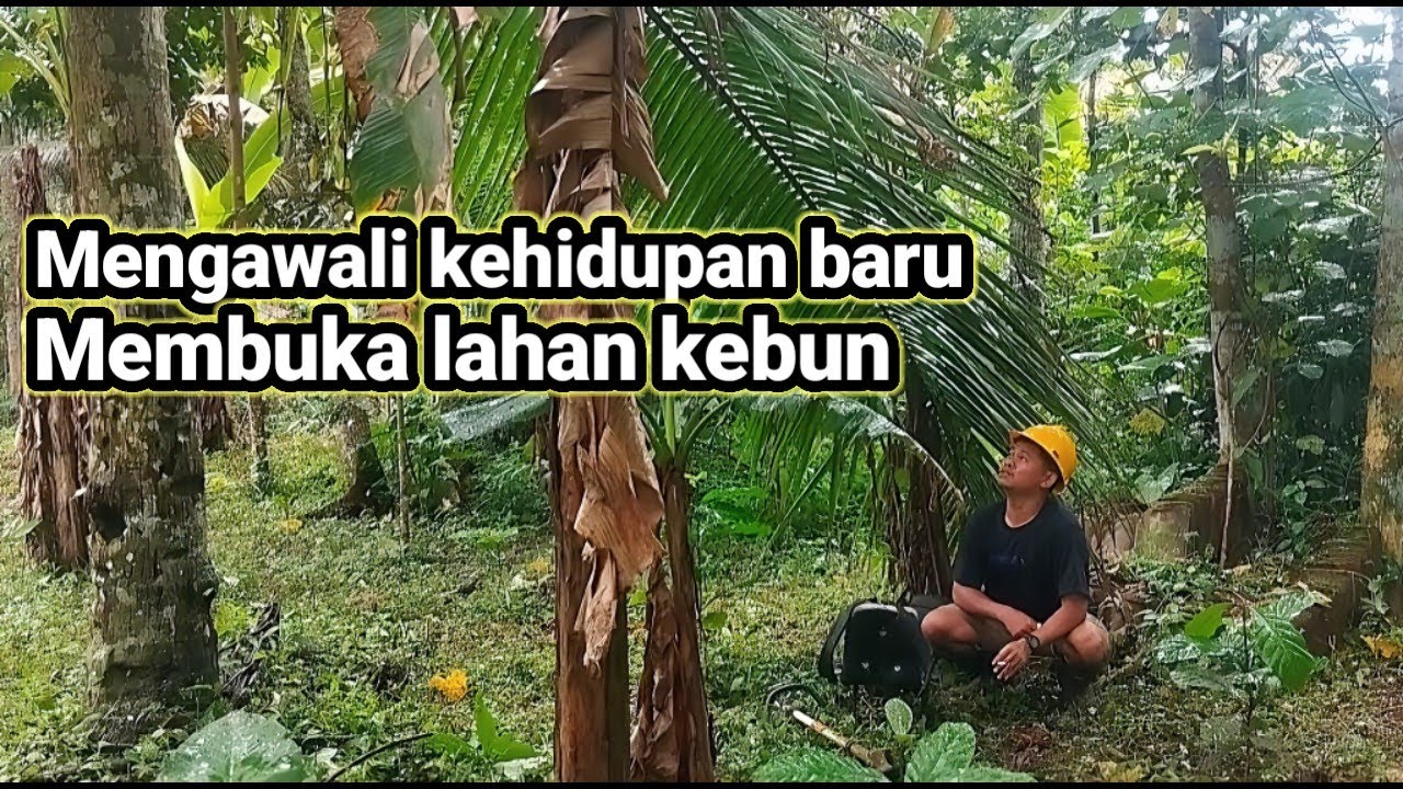 HIDUP DI DESA || Mengawali kehidupan berkebun @SerayuGarden 