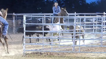 Five M Sailor - sorting practice - Valley View Ranch