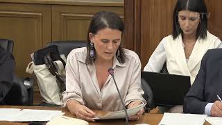 16-10-2025 | Audição do Ministro da Educação, Ciência e Inovação | Aida Carvalho