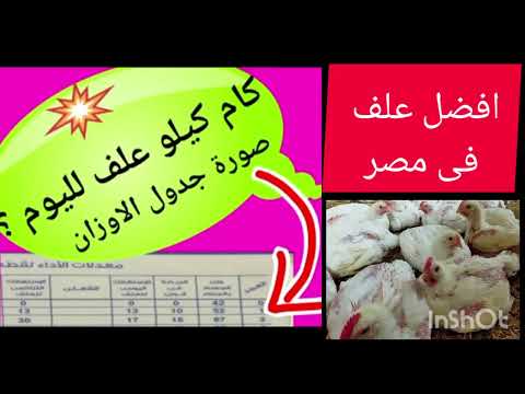 افضل شركات علف فى مصر