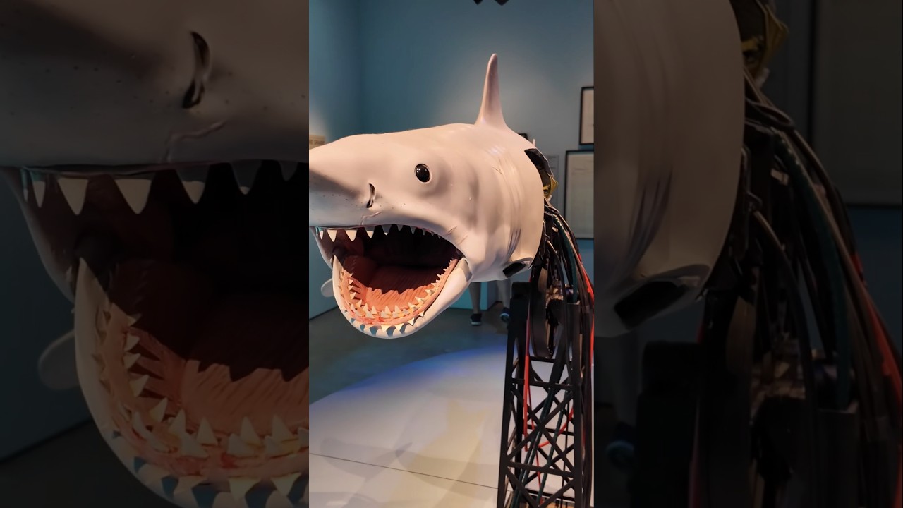 Replica of Jaws aka Bruce