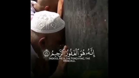 قرآن الكريم بصوت رعد محمد الكردي حالات واتس اب دينية سورة القصص