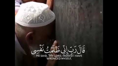قرآن الكريم بصوت رعد محمد الكردي حالات واتس اب دينية سورة القصص