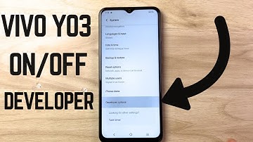 How to Enable Vivo Y03 Developer Mode & OEM Unlock