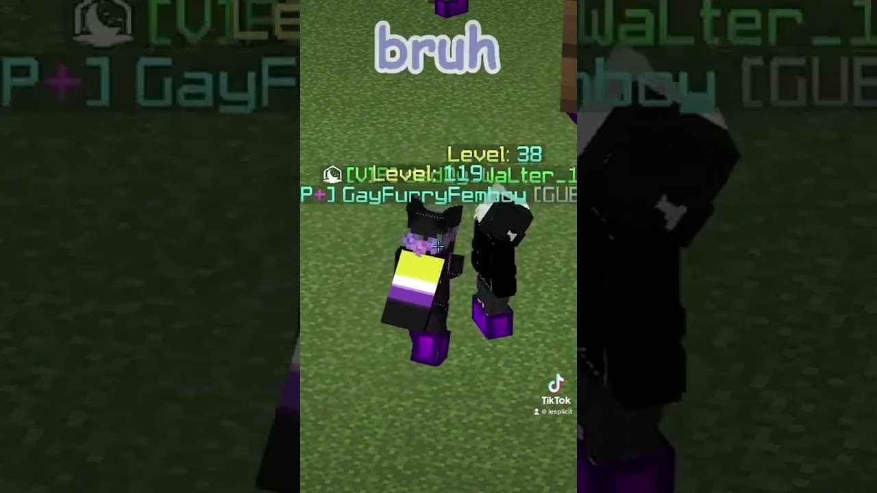 Minecraft Hypixel Funny Stream Highlight