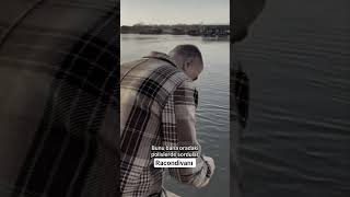 Reis Sedat Peker Şfet