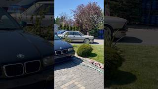 Majówka wietrzenie e36 e28 #mechanik #viral #mechanik #m3 #e36 #e36m3 #e28