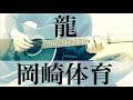 龍  岡崎体育  歌詞付  弾き語りcover (コードは説明欄へ)