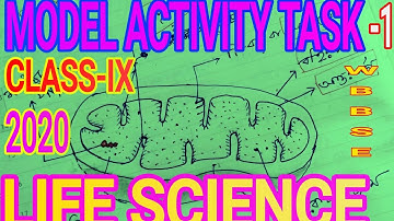 CLASS-IX ** LIFE SCIENCE ** MODEL ACTIVITY TASK-2020  ** WBBSE **  জীবন বিজ্ঞানের প্রশ্ন ও উত্তর।