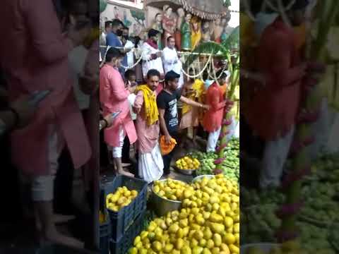 Video: Hvem Oppfant Mangofestivalen I India